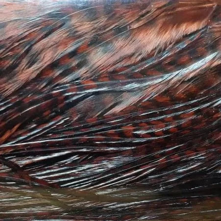 Keough Grade 1 Grizzly Half Saddle