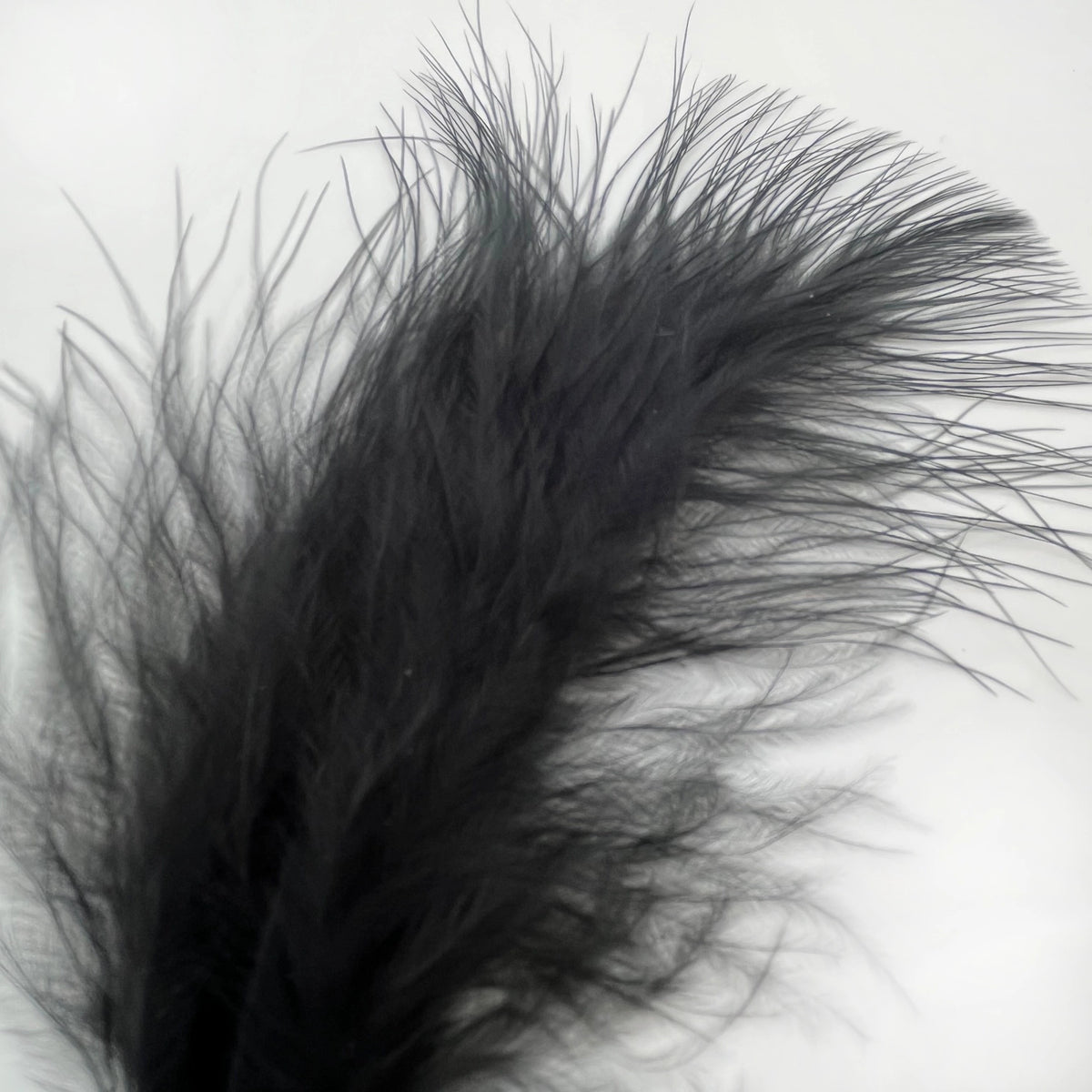 Marabou Feathers