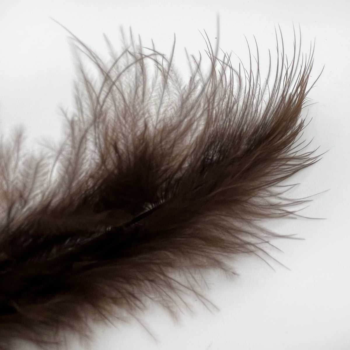 Marabou Feathers