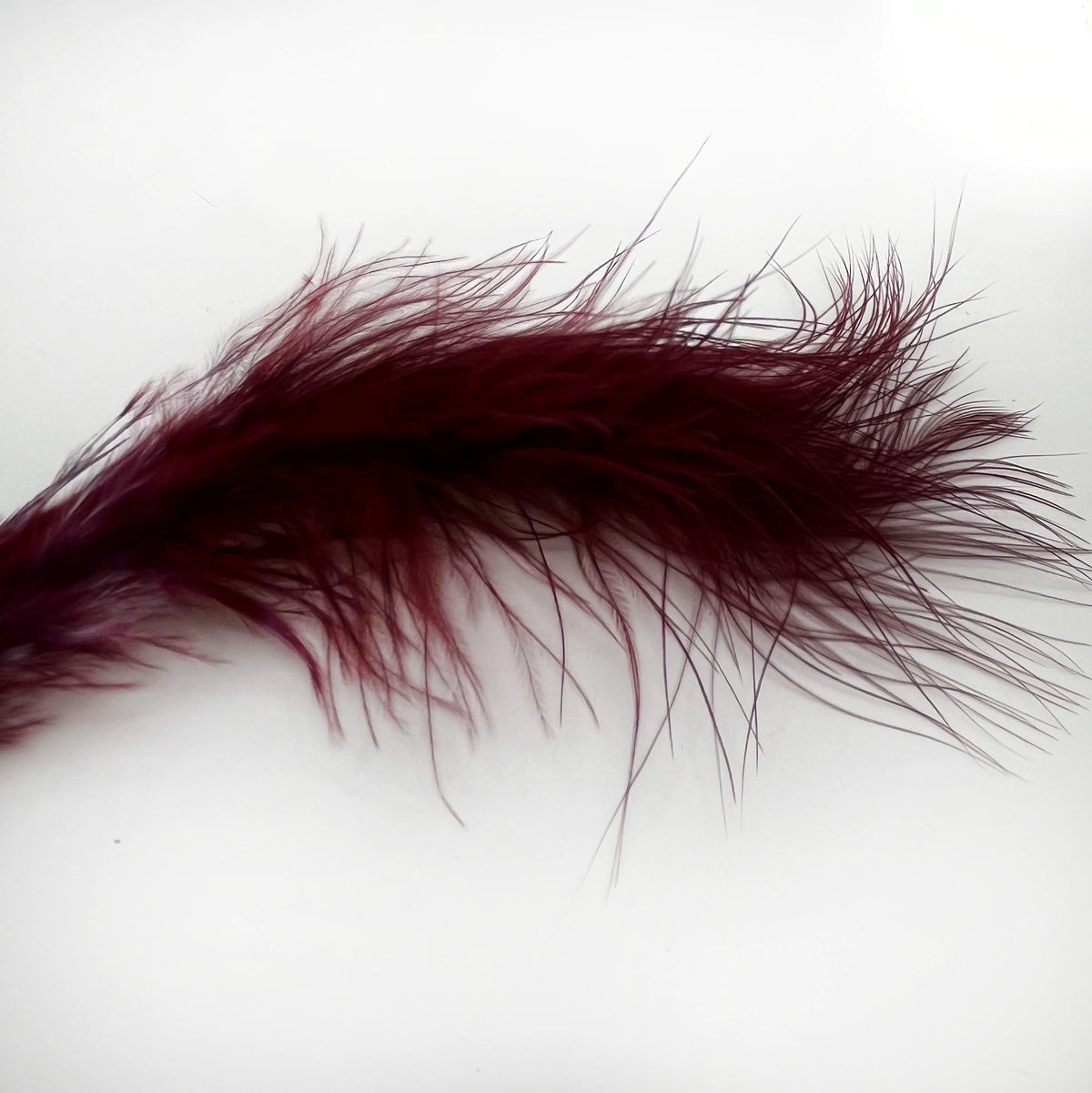 Marabou Feathers