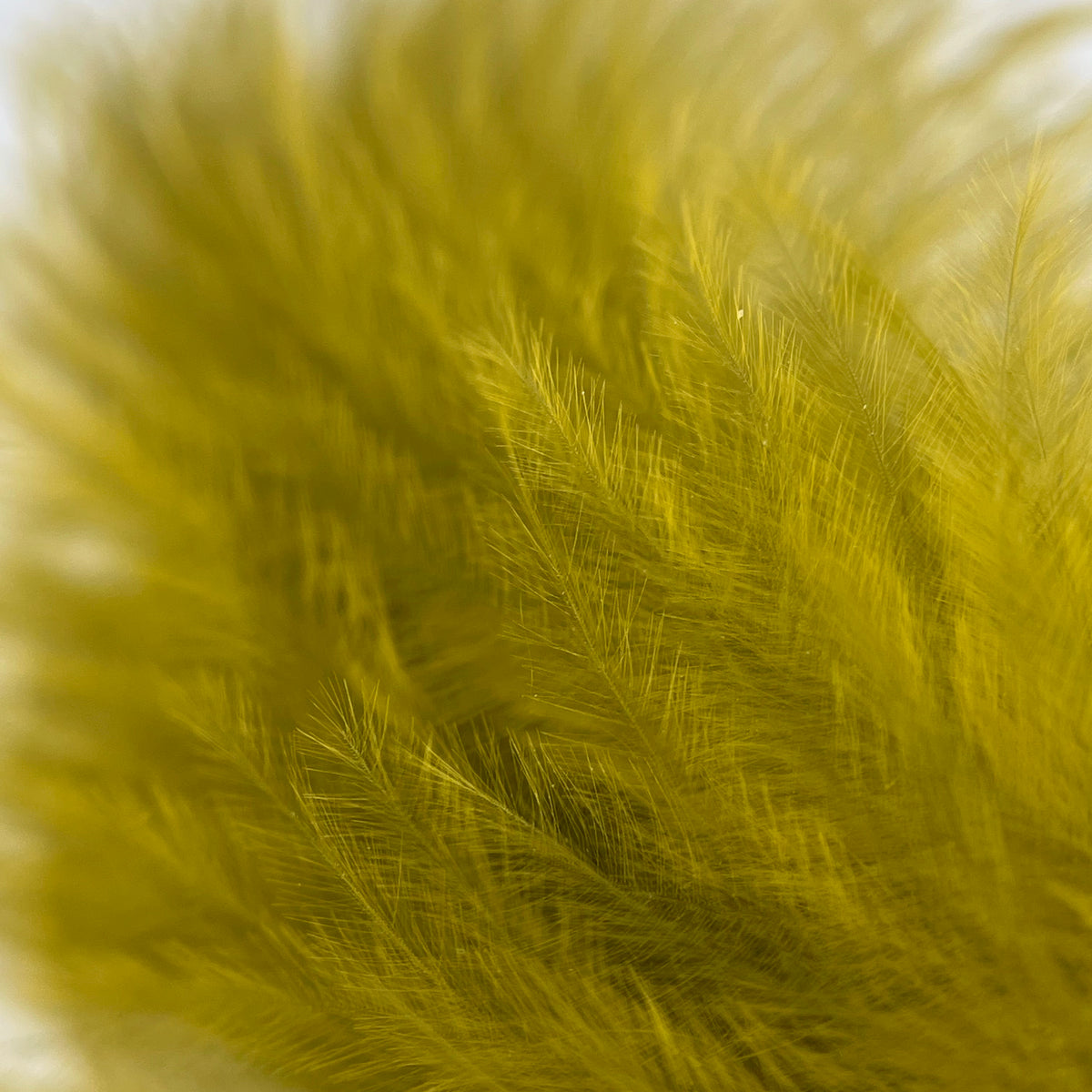 Marabou Feathers