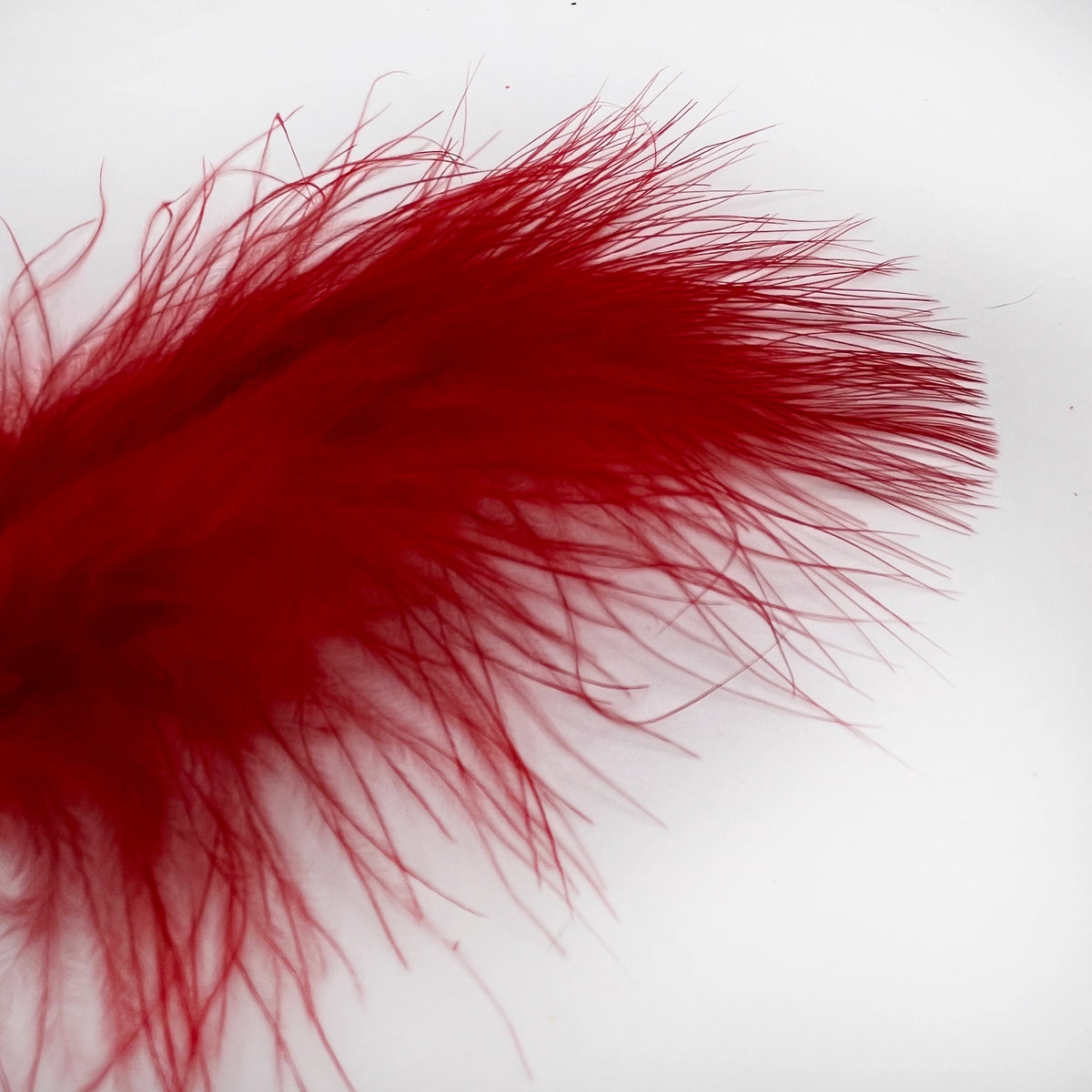 Marabou Feathers