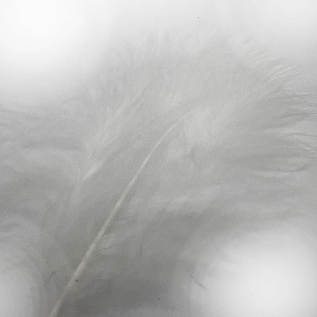 Marabou Feathers