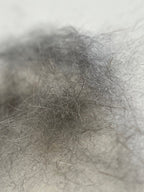 Natural Muskrat Dubbing
