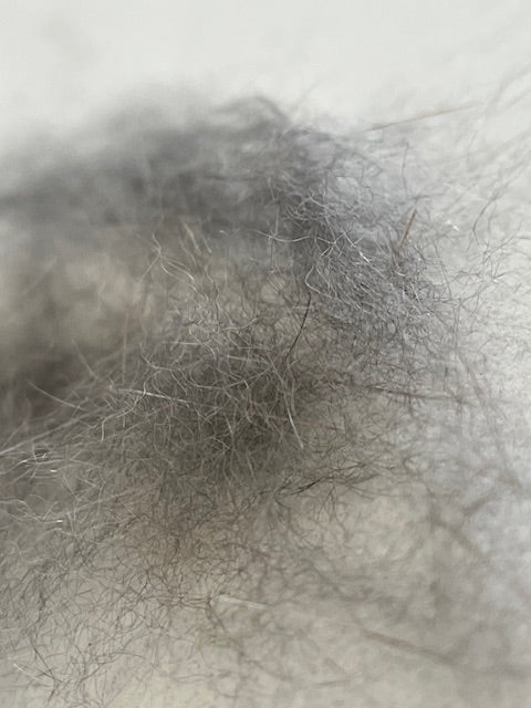 Natural Muskrat Dubbing